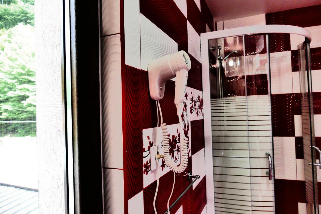 Pensiunea Roua Florilor Otel Anina Dış mekan fotoğraf
