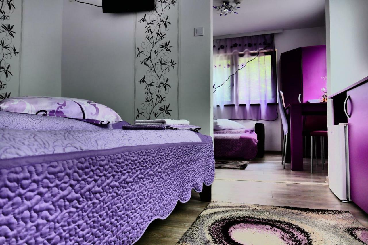 Pensiunea Roua Florilor Otel Anina Dış mekan fotoğraf