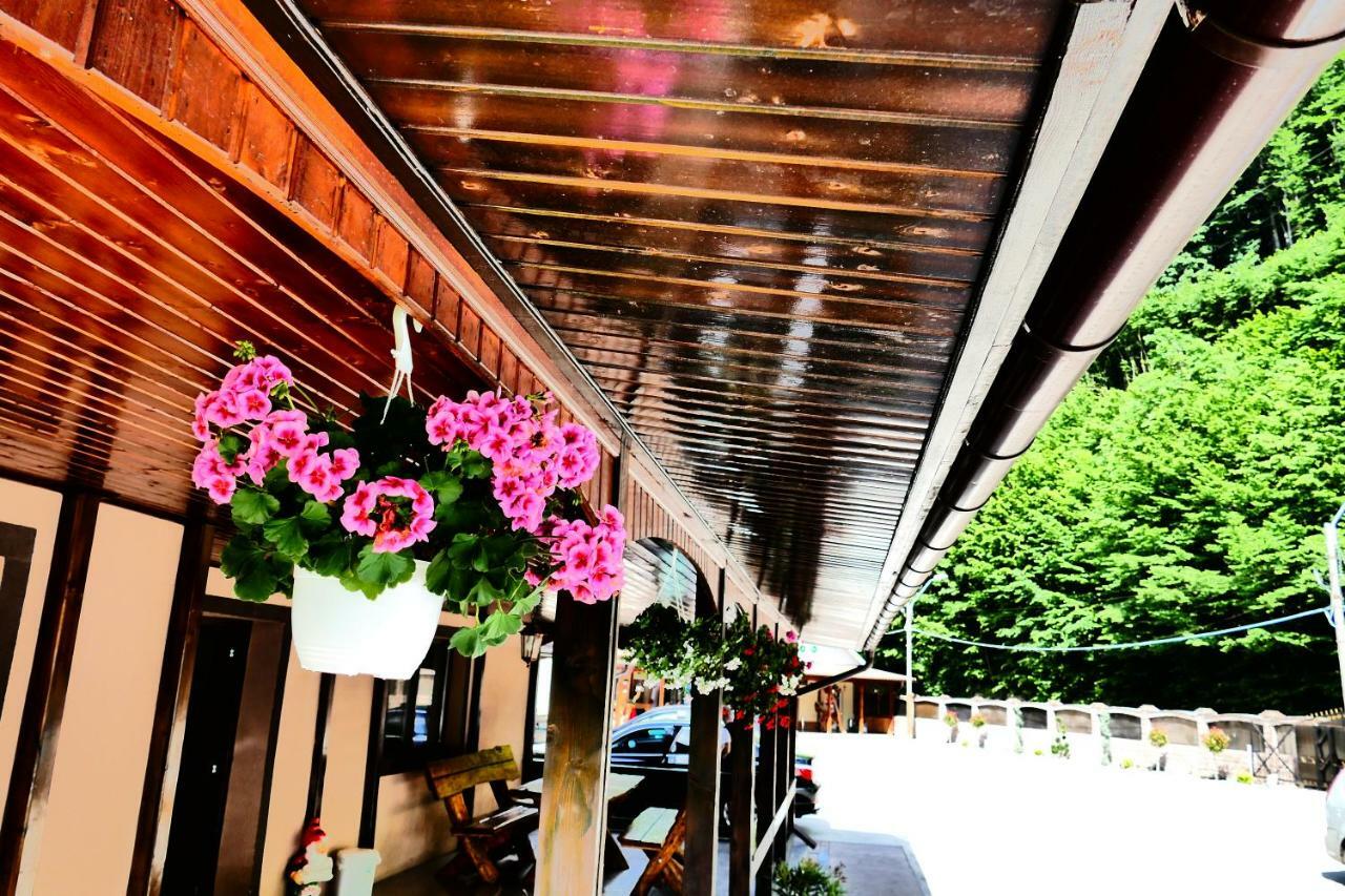 Pensiunea Roua Florilor Otel Anina Dış mekan fotoğraf