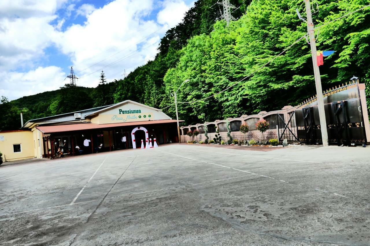Pensiunea Roua Florilor Otel Anina Dış mekan fotoğraf