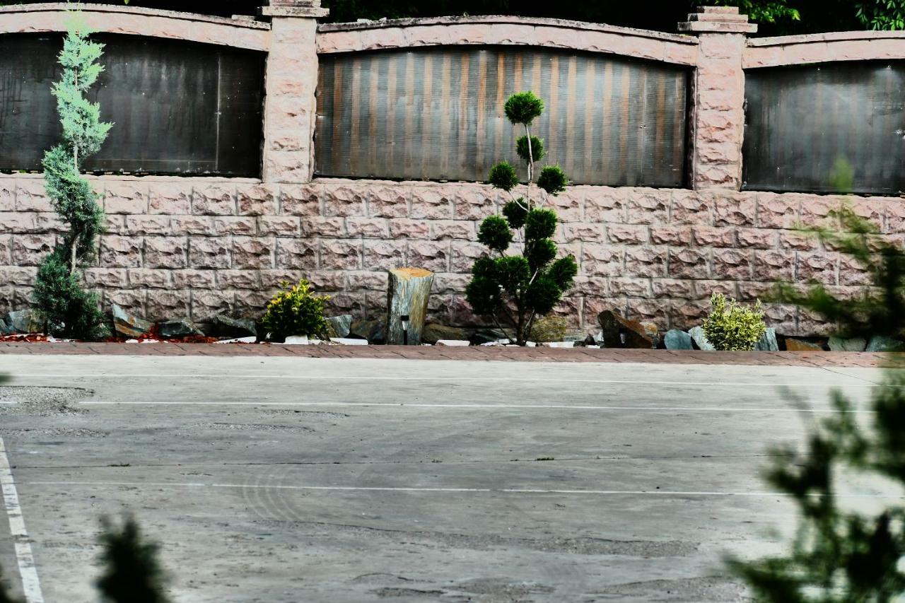 Pensiunea Roua Florilor Otel Anina Dış mekan fotoğraf