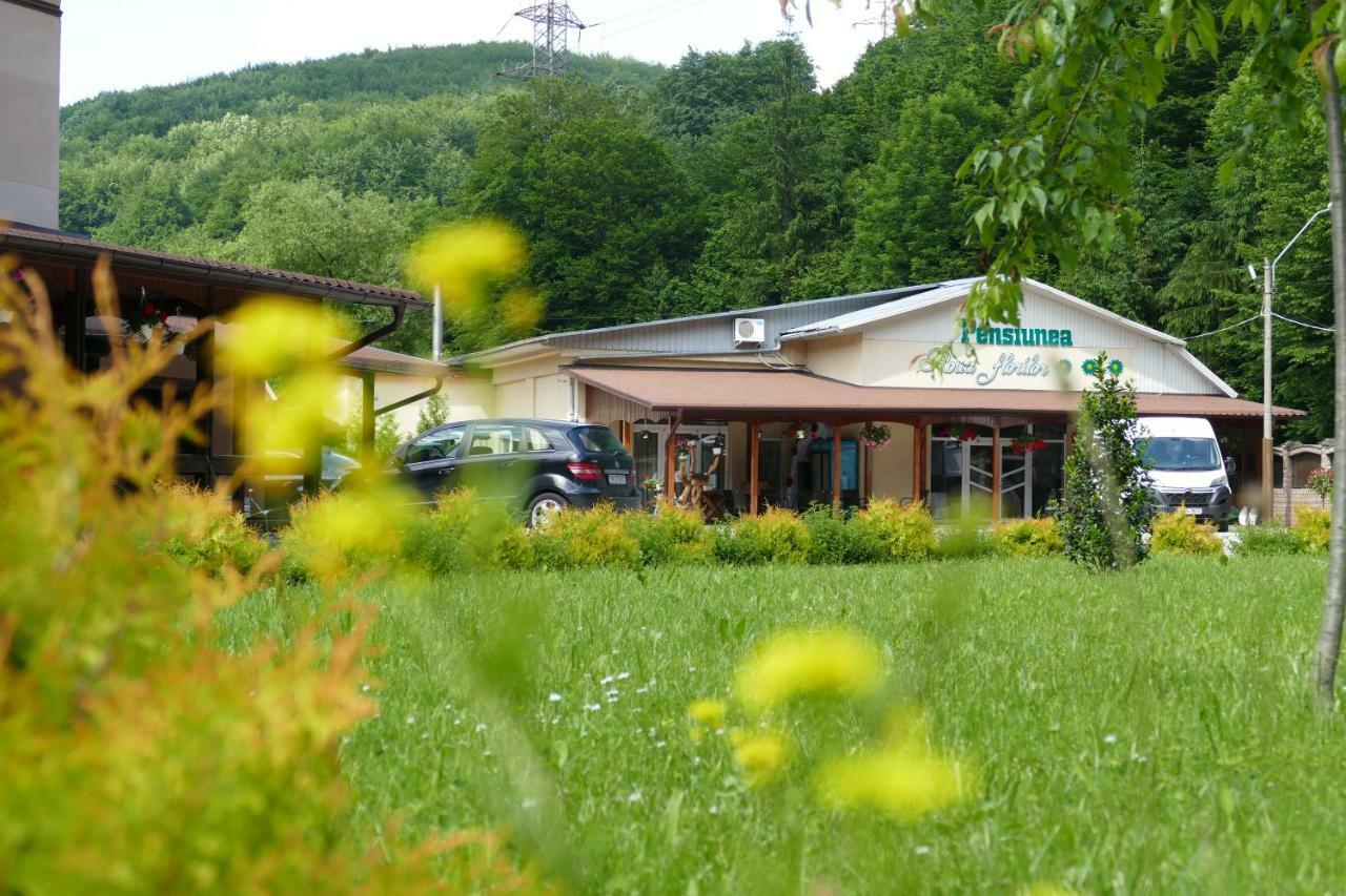Pensiunea Roua Florilor Otel Anina Dış mekan fotoğraf